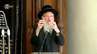 Rabbi Dr David Gottlieb  Jewish Philosophy Answering Scientific Questions [upl. by Doolittle498]