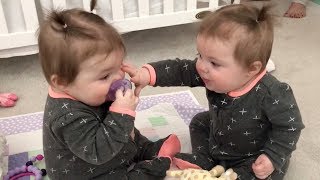 Funniest TWIN Baby Girls Share A Pacifier [upl. by Adnauqaj]