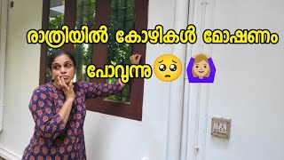 കോഴി കൂട്ടിൽ 🐓കള്ളൻ കയറി 🥺😧  dayinmylife [upl. by Siol]