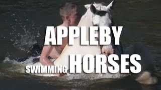 Horses Swimming amp Bathing  Appleby Horse Fair 2011 [upl. by Fanchie457]