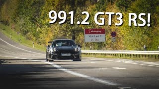 The NEW Porsche 9912 GT3RS 992 amp GT2RS at the NÜRBURGRING [upl. by Euqimod]