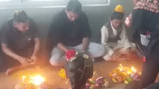 bhai tika  tihar  Kabindra goja [upl. by Sharp]