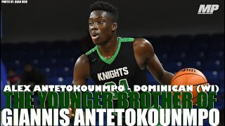 Alex Antetokounmpo highlights [upl. by Gabbey]