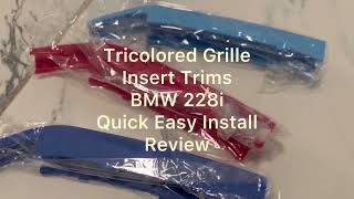 Tricolored Grille Insert Trims Compatible w BMW 228i Quick Easy Install  Amazon Purchase  Review [upl. by Melinda]