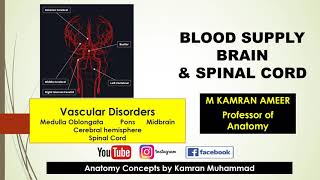 Blood Supply  Vascular Lesions  Brain amp Spinal Cord  M Kamran Ameer [upl. by Jael]