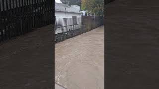 Colgan Creek Flooding in 2023 [upl. by Fisoi]