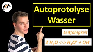 Autoprotolyse von Wasser Reaktionsgleichung amp Gleichgewicht  Chemie Tutorial [upl. by Ilojne]