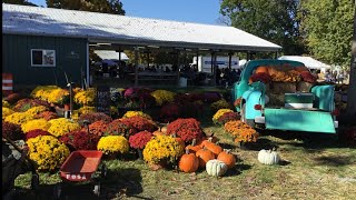 Special preview of the annual Lucketts Fall Market [upl. by Hawley505]