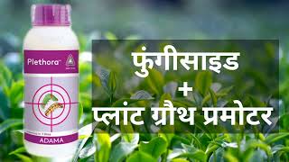 Adama Plethora Novaluron 525  Indoxacarb 45 SC Insecticide ब्रॉडस्पेक्ट्रम कीटनाशक [upl. by Heida623]