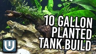 10g Planted Tank Aquarium Build  YOU CAN DO THIS TOO [upl. by Airemat833]