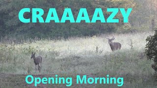 Crazy Morning of Bucks Chasing Does [upl. by Jory]