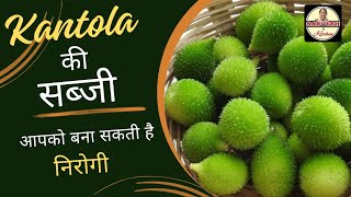 Kantola ki sabji  spiny gourd ki sabji  how to make kantola recipe [upl. by Opiak640]