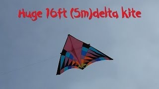 Huge 16ft 5m delta kite [upl. by Aronael]