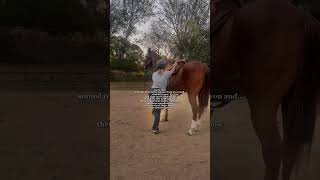 horse sporthorses horsesports cowgirl horseracing rodeo [upl. by Waller]