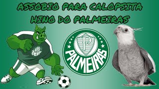 COMO ENSINAR CALOPSITA A CANTAR O HINO DO PALMEIRAS [upl. by Anna-Diana]