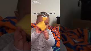 How to stop a baby from crying use cheese [upl. by Thea782]