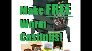 How To Set up a Cheap Worm Bin For Less Than 10 [upl. by Dare]