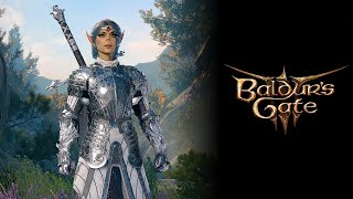 Baldurs Gate 3  The Psionic Warrior Build Request [upl. by Akira]