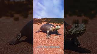 LA TORTUGA HACE ESTO sabiasque arcade sabias humor shorts CREDITOS ZACK D FILMS [upl. by Notgnilliw]