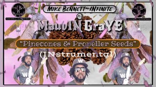 “Pinecones amp Propeller Seeds” Mix 02by MauvIN GraYE mikebennettinfiniteismauvingraye 🌸amp🌫️ [upl. by Georgeanna203]