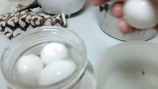 How to make salty egg [upl. by Ydnolem]