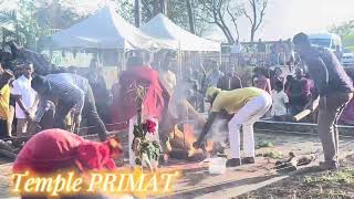 Allume do feu au temple PANDIALÉ PRIMAT marche sur le feu dimanche 1 décembre 2024 [upl. by Banebrudge491]