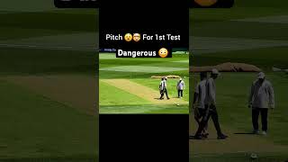 Bouncy pitch for 1st test bgt bordergavaskartrophy2024 bcci cricket viralshort [upl. by Wallach]