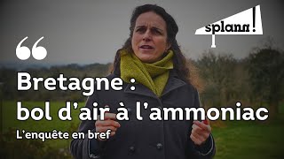 Bretagne  bol dair à lammoniac  lenquête en bref [upl. by Anaderol56]