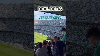 BETIS Celta De Vigo realbetis betis villamarin celta villamarin vigo futbol laliga [upl. by Ahcas943]