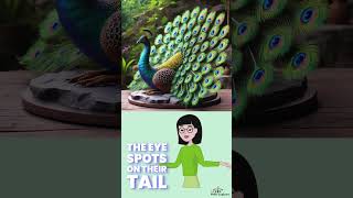 Fact about Peacocks [upl. by Onairam]