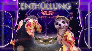 Wer sind die Erdmännchen  Die Enthüllung  The Masked Singer  ProSieben [upl. by Girardo303]