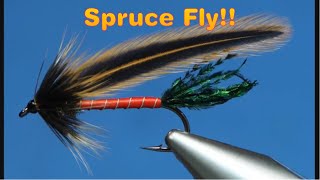 Spruce Fly Pattern [upl. by Josy]