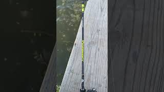 insidesportfishing bassfishing sportfish fishing bass sportfishing spottedbas freshwaterfish [upl. by Robbie]