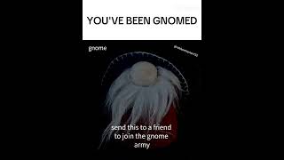 YOUVE BEEN GNOMED gnome gnomed funny memes [upl. by Hsara]