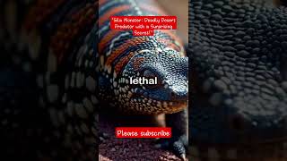 quotGila Monster Deadly Desert Predator with a Surprising Secretquot viralvideo weirdnature spiky [upl. by Menides]