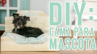 DIY  Cama de madera para mascotas [upl. by Peace]