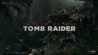 How to Change Language of The Shadow of the Tomb Raider [upl. by Soo]