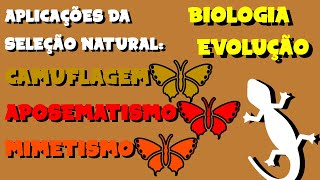 Camuflagem aposematismo e mimetismo  EVOLUÇÃO  BIOLOGIA [upl. by Him599]