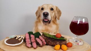 멍스토랑에서 스테이크amp와인 먹는 강아지 My Dog Eating Show Steakamp Wine Asparagus Mukbang [upl. by Pulling]