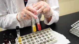 How to Inoculate amp Interpret a Nitrate Broth Tube  MCCC Microbiology [upl. by Allrud]