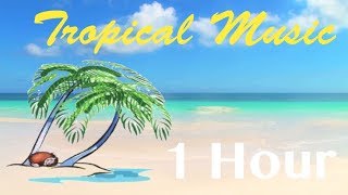 Tropical Music amp Tropical Music Hawaii 2 Hours of Best Tropical Music Instrumental Upbeat Mix [upl. by Dunkin632]