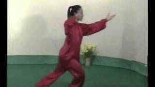 Tai chi 48 form complete demonstration [upl. by Clorinde]