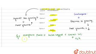 negatively geotropic roots are found in [upl. by Rashidi]