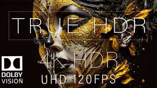 Wonderful 4K HDR 120FPS DOLBY VISION [upl. by Thurmann]