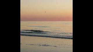 ostend beach 582024 oostende strand [upl. by Herson427]