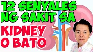 12 Senyales ng Sakit sa Kidney o Bato  Payo ni Doc Willie Ong 734c [upl. by Tressia]