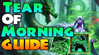 102 Mistweaver TEAR of MORNING Raid Guide  Season 3 Dragonflight Mistweaver Monk [upl. by Eamanna]