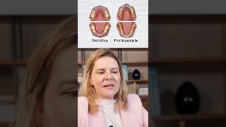 Aprenda sobre Dentição Decídua e Permanente anatomiahumana odontologia anatomiadental [upl. by Aerua178]