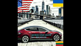 Automobiliai is JAV  Miami terminalas ENG Car export from USA to Europe  Lithuania Ukraine cars [upl. by Furie]