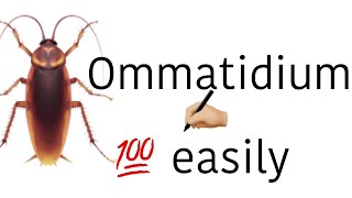 Cockroach ommatidium easy drawingbiodrawingseasydrawingcockroacheasy to draw [upl. by Stanley688]